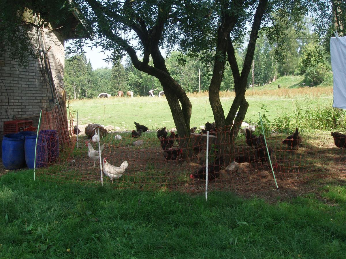 Ferme du Haut Barba Liézey Exterior foto